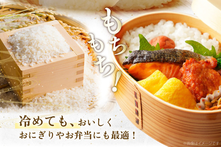 米 精米 夢つくし 5kg 福岡県産 米