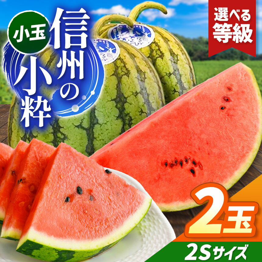 【ふるさと納税】先行予約【選べる】信州波田産 小玉スイカ！信州の小粋 2玉 2Sサイズ｜ふるさと納税 長野県 信州 松本 果物 フルーツ 小玉 すいか スイカ 西瓜 贈答 季節限定 甘い くだもの ふるーつ