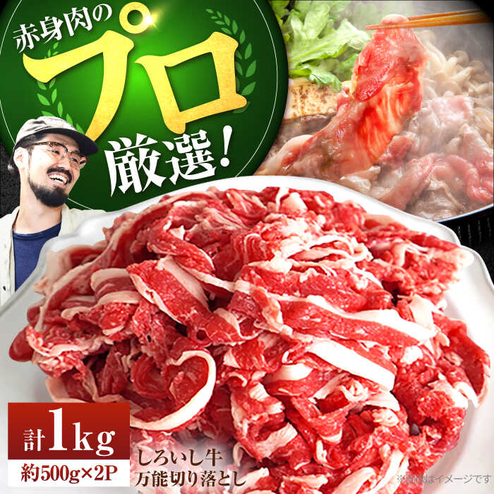 【ふるさと納税】【牧場直送】佐賀県産しろいし牛 万能切落し 1kg（500g×2パック） 【有限会社佐賀セントラル牧場】肉 お肉 牛肉 切り落とし 1kg 冷凍 [IAH005]