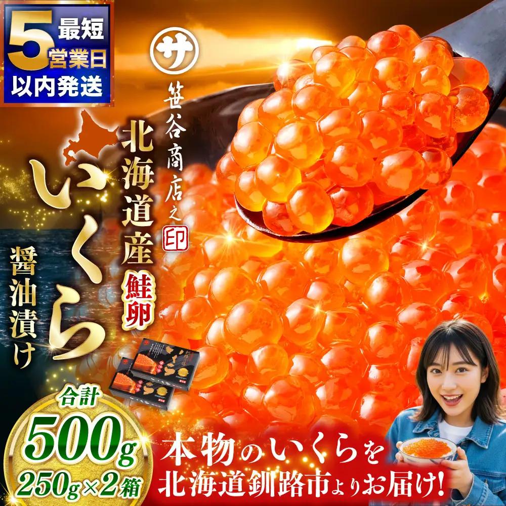 【5営業日以内発送】新物 北海道産いくらしょう油漬250g×2箱 ふるさと納税 いくら