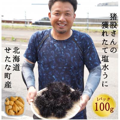 ふるさと納税 せたな町 【2025年7月から順次発送】北海道せたな町産 塩水うに(キタムラサキウニ) 100g