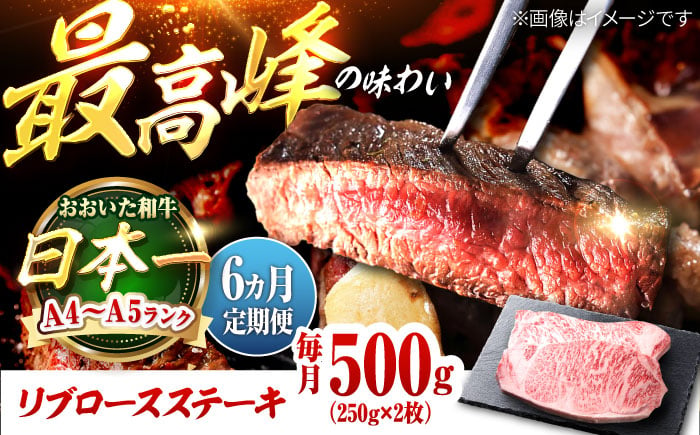 
【全6回定期便】おおいた和牛 リブロースステーキ 500g(250g×2枚) 日田市 / 株式会社OTOGINO [AREF138]
