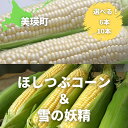 【ふるさと納税】【令和7年産予約受付！】 とうもろこし （ほしつぶコーン＆ 雪の妖精）6本　12本 [ 5kg 以上] 詰め合せ 食べ比べ 野菜 送料無料 北海道 スイートコーン とうきび 北海道美瑛 北海道美瑛町 美瑛町 美瑛 北海道産 美瑛産 黒木農場