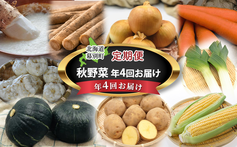 
                  十勝幕別の定期便 秋野菜 年4回お届け 【お届け開始：2025年9月～】[№5749-1467]
                