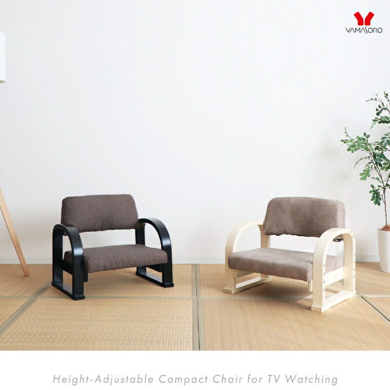 【ふるさと納税】テレビ座椅子 双葉