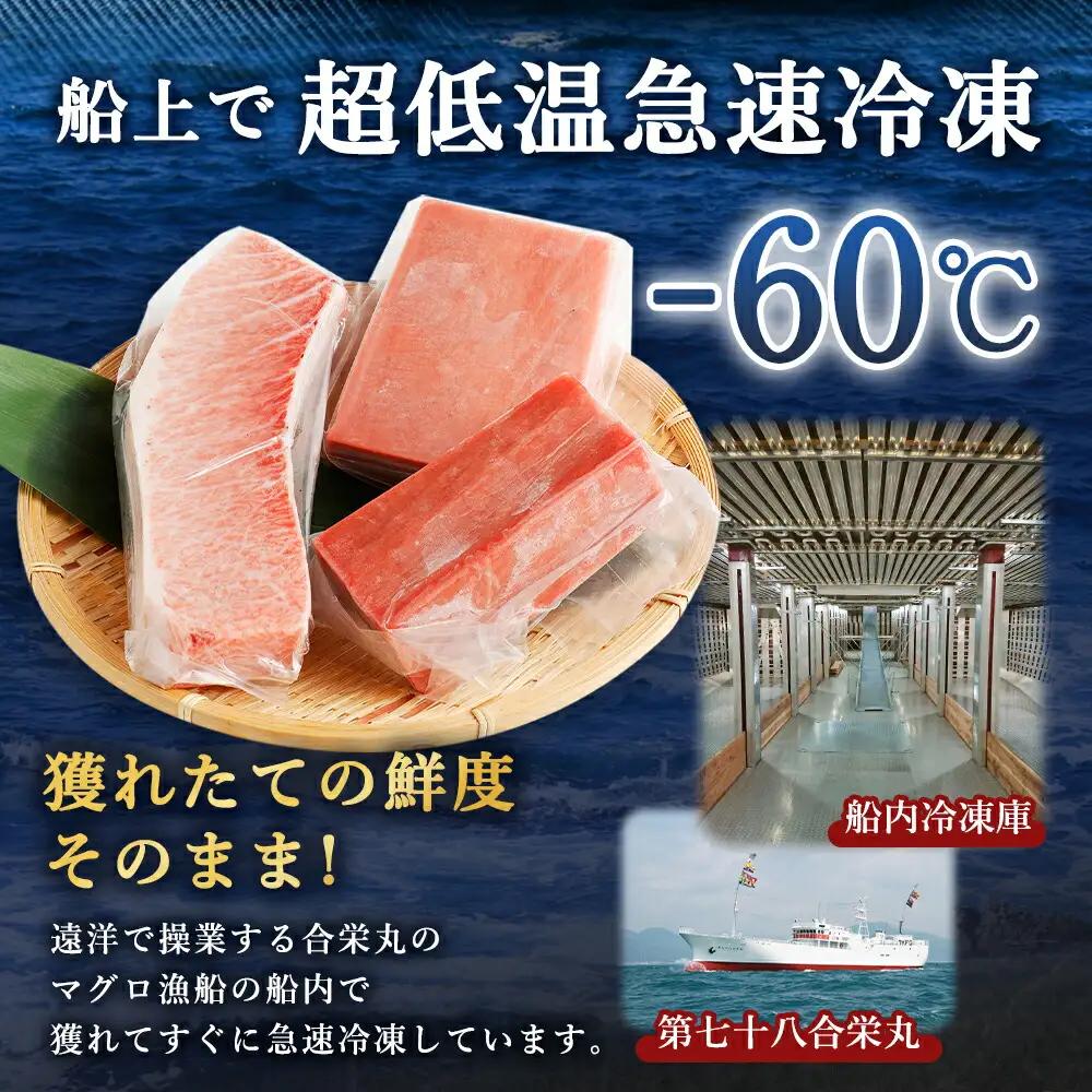 【定期便/計5回】天然本マグロ（各600g） 【まぐろ】FN-Limited-PR
