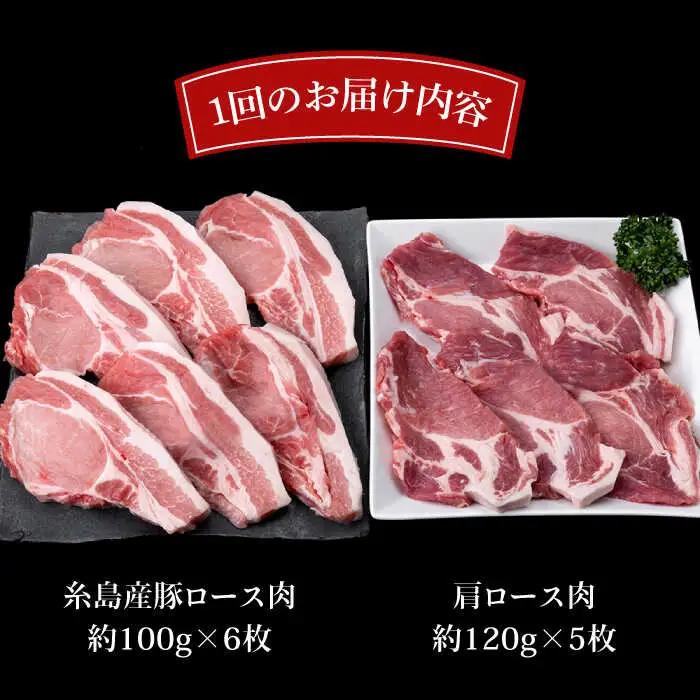 【全6回定期便】糸島豚ロース肉6枚 肩ロースカツ5枚 合計11枚セット 糸島市/糸島ミートデリ工房[ACA230]