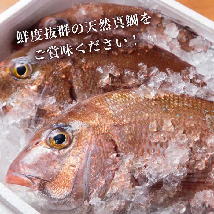 【全12回定期便】 天然 鯛 お茶漬け 6食 [JAI009]
