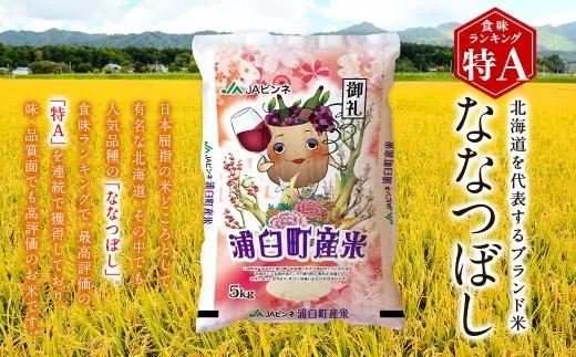 【 12回定期便 】〈 令和8年産 〉 浦臼産 ななつぼし 精白米 5kg お米 米 こめ コメ 白米 白飯 飯 ご飯 おにぎり ブランド米 ブランド 国産 北海道産 和食 定期 定期配送 【 202