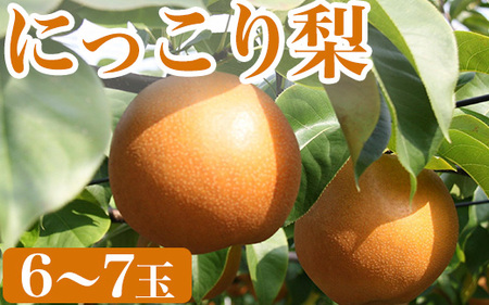 にっこり梨（6玉～7玉） 旬の梨