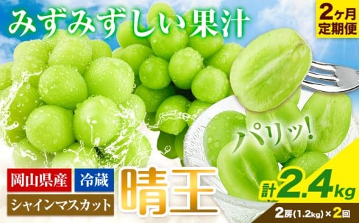 シャインマスカット 2ヶ月 定期便【2026年先行予約】シャインマスカット 晴王 約1.2kg 岡山県産《9月上旬-10月末頃出荷(土日祝除く)》 ハレノフルーツ マスカット 送料無料 岡山県 浅口市 フルーツ 果物 贈り物 ギフト 国産 岡山県産 くだもの【配送不可地域あり】 st-p