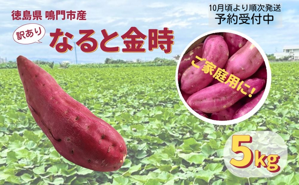 
            【予約受付中・2025年10月頃より順次発送】本場・徳島県鳴門市産「ご家庭用（ 訳あり ） なると金時 」約5kg【数量限定】
          