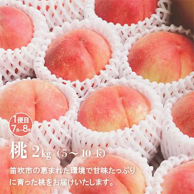 ふるさと納税 笛吹市 【発送月固定定期便】山梨の美味しい果物 桃・巨峰・シャインマスカット全3回 |  | 01