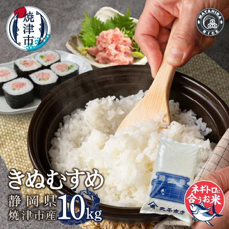 【ふるさと納税】 米 白米 きぬむすめ 10kg (5kg×2袋) 老舗米屋 ネギトロに合う ごはん 焼津 a32-033