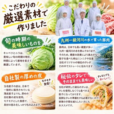 ふるさと納税 玉名市 玉名餃子  50個 |  | 01