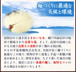 素麺 ソーメン 手延べ素麺 50g × 50束 2.5kg かも川手延素麺株式会社《90日以内に発送予定(土日祝除く)》｜素麺 ソーメン 麺 手延べ 岡山県 浅口市