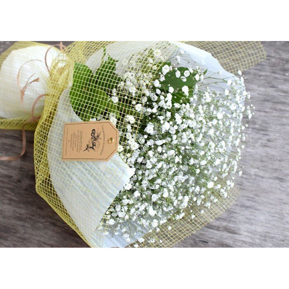 かすみそうの花束 かすみ草 カスミソウ 花束(小さいサイズ) 花 誕生日 成人式 卒業祝い 初節句 ひな祭り バレンタイン お返し 結婚 ウエディング 送別 祝い プレゼント ギフト 結婚祝い お礼 花束 生花 ドライフラワーにも 送料無料 退職祝い お母さん 記念日
