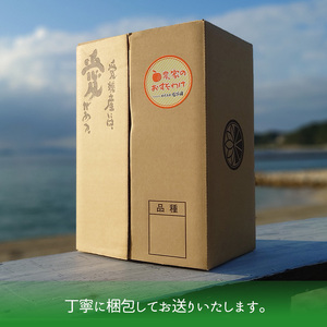 【2025年4月下旬から発送】南津海・カラマンダリン約2.5kg 大中小サイズ混合 家庭用B品合 | 柑橘 松山市産ミカン みかん 果物 くだもの ミカン 蜜柑 フルーツ おすすめ 小玉みかん お取り