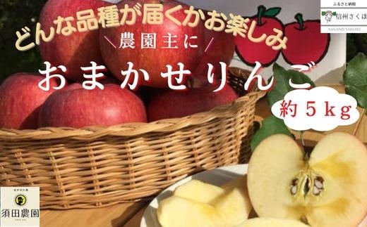 農家にお任せ！旬のリンゴ　５キロ箱【期間限定】〔SU-05〕