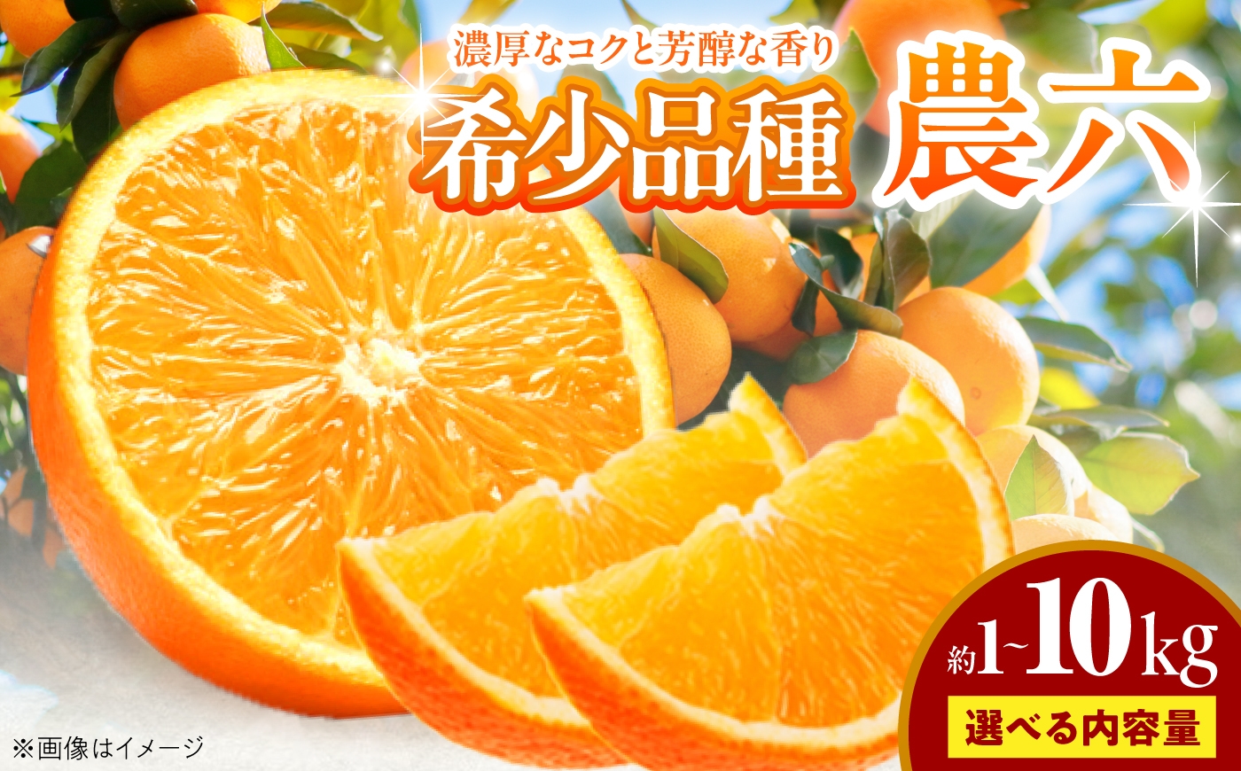 
                  【選べる容量】みかん 農六 約1～10kg【2月上旬から3月下旬まで順次発送】 / フルーツ 果物 蜜柑 ミカン オレンジ 小玉 甘い 先行予約 5kg 愛媛 ノビレチン ポリフェノール 濃厚 甘み コク 愛媛産 旬 家庭用 高糖度 酸味少ない お取り寄せ 贈答 フルーツギフト 柑橘詰め合わせ 高級フルーツ 柑橘 プレゼント ギフト 人気 おすすめ / 愛媛県砥部町/和氣隆司 [BJBF001]
                