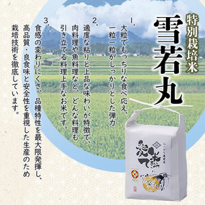 【令和8年産先行予約】【6ヶ月定期便】特別栽培米 雪若丸　精米 5kg×6ヶ月　山形県鶴岡市産　愛米て　| 米 こめ コメ 5キロ ゆきわかまる ブランド米 庄内米 ごはん ご飯 美味しい 国産 おに