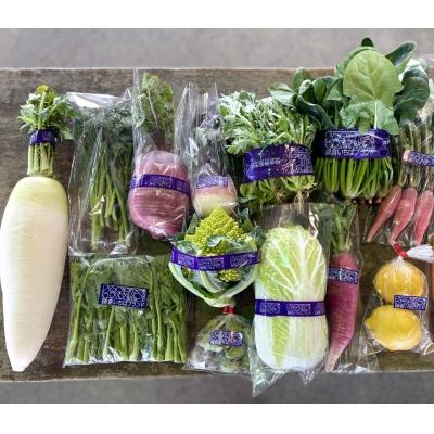 ふるさと納税 鎌倉市 鎌倉いちばブランド野菜詰め合わせ |  | 02