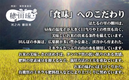 ひのひかり 坂本自然農場 穂田琉 精米 ひのひかり【5kg】