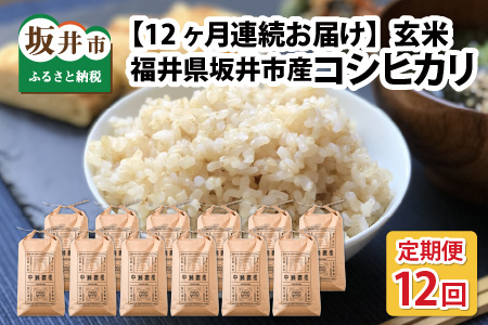 【令和7年産・新米先行予約】【12ヶ月定期便】 コシヒカリ5kg×12回 合計60kg（玄米）【2025年10月より順次発送予定】【米定期便 玄米定期便 回数定期便 こめ定期便 5キロ定期便 定期便】 [N-11301_02]