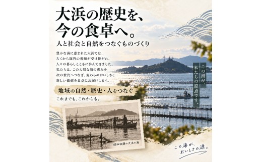 【贈答用】有明海産　乾海苔　全形　3袋（30枚）海苔 のり ノリ 乾海苔 乾しのり 干し海苔 干のり 乾燥海苔 乾燥のり 板海苔 有明海 有明海産 有明産 全形 海産物 熊本県 玉名市