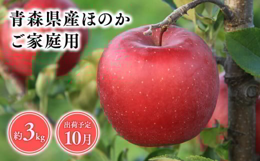 2025年産１０月発送　【訳あり】家庭用ほのか3kg【青森県 平川市 そと川りんご園】１０月発送 家庭用 青森 青森県産 平川 りんご リンゴ 林檎 くだもの 果物 フルーツ 