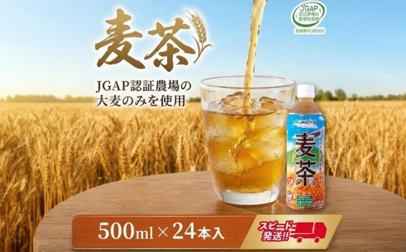 
                  スピード発送!!【 JA 北つくば 】 JGAP認証 麦茶 1箱 ( 500ml × 24本 ) JGAP JA お茶 茶 ペットボトル 麦 大麦 二条大麦 ノンカフェイン カフェインゼロ スピード配送 
                