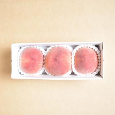 ふるさと納税 山梨市 【発送月固定定期便】山梨市産　季節のフルーツ定期便全3回 |  | 01