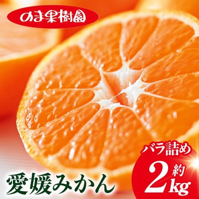 のま果樹園の愛媛みかん(約2kg)バラ詰め【1759293】
