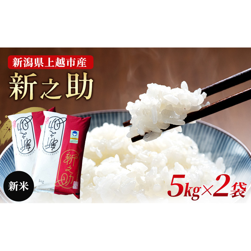 新米予約 令和7年 新潟県産新之助 10kg（5kg×2袋） 10キロ 白米 精米特別栽培米 送料無料 安全・安心しんのすけ 上越市 高橋農場