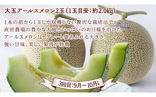 《 2027年 2月下旬開始 》全4回 定期便 贅沢 フルーツ 満喫コース  KEK 国産 トマト フルーツトマト スイカ いちご メロン くだもの 果実 春 夏 秋 冬 特選 厳選 アド街ック天国 