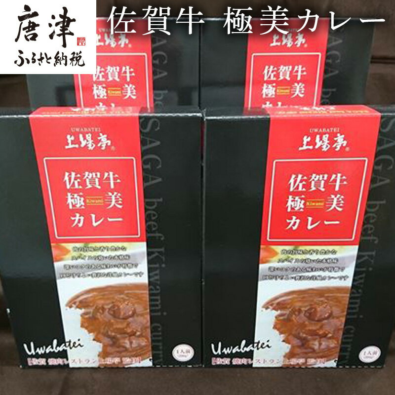 【ふるさと納税】佐賀牛 極美カレー 「2025年 令和7年」