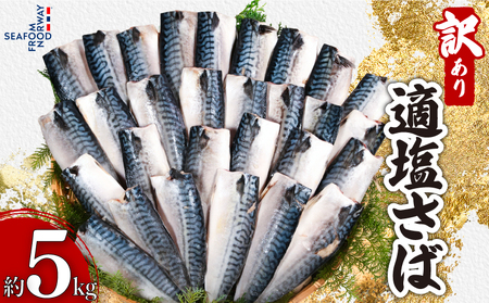 訳あり 適塩さば 5kg 鯖