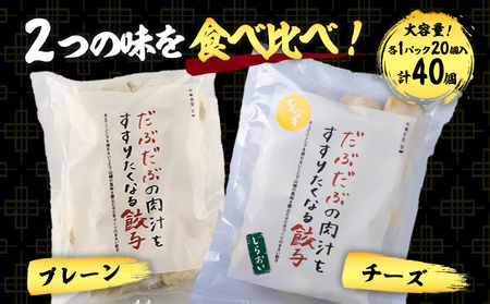 だぶだぶの肉汁をすすりたくなる餃子 食べ比べセット 40個（プレーン・チーズ 各20個） BE016