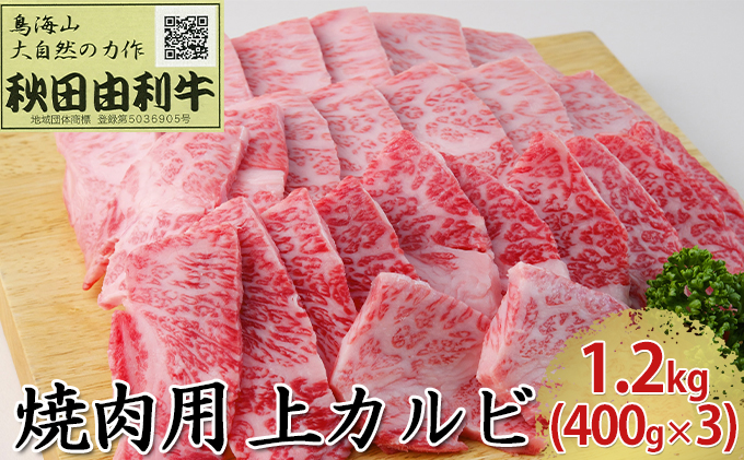 秋田由利牛 焼肉用 上カルビ 1.2kg（400g×3パック 焼き肉） バラ(カルビ) お肉 牛肉 バーベキュー 