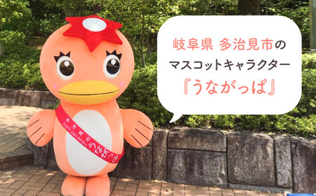 うながっぱグッズ 5点セット 14 多治見市 / 多治見市観光協会 多治見 たじみ うながっぱ[TAQ002]