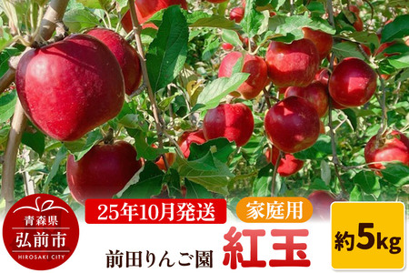【レビューキャンペーン】【25年10月発送】りんご【家庭用】紅玉 約5kg  前田りんご園