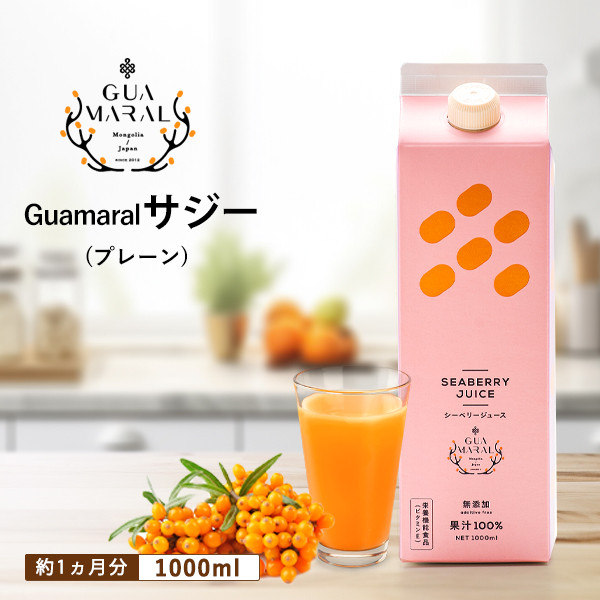 
サジージュース 100% 1000ml×1本 | サジー シーベリー 沙棘 グアマラル 健康ドリンク 健康 美容 栄養 果汁 鉄分補給 栄養補給 健康食品 | サジー シーベリー 沙棘 グアマラル 健康ドリンク 健康 美容 栄養 果汁 鉄分補給 栄養補給 健康食品 ギフト 贈答 プレゼント ご褒美 お祝 記念品 _DX02
