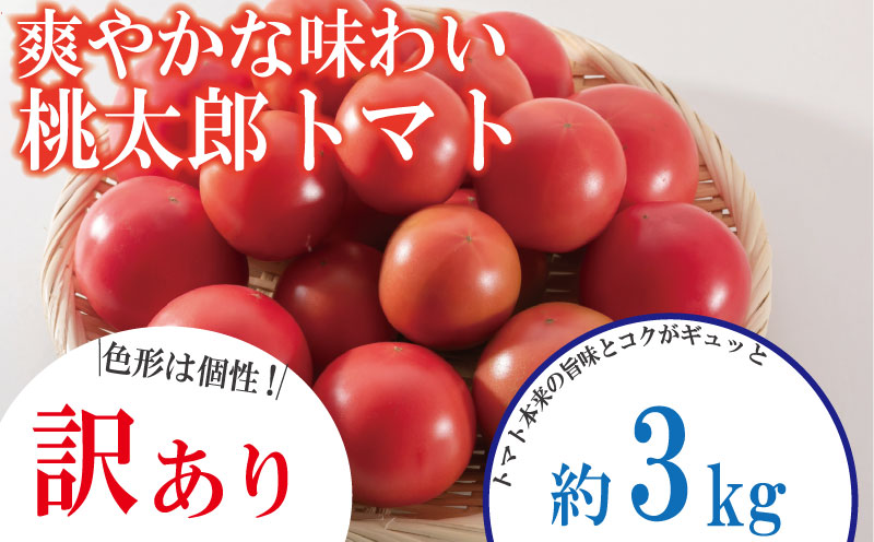 【訳あり】 【2026年1月発送】 トマト 3kg 桃太郎 先行予約  甘い 野菜 やさい 国産 産地直送 数量限定 旬 桃太郎トマト 生野菜 新鮮 ソース 調味料 ケチャップ サラダ 美容 新鮮 健康 お取り寄せ グルメ おすすめ 人気 徳島県 小松島市