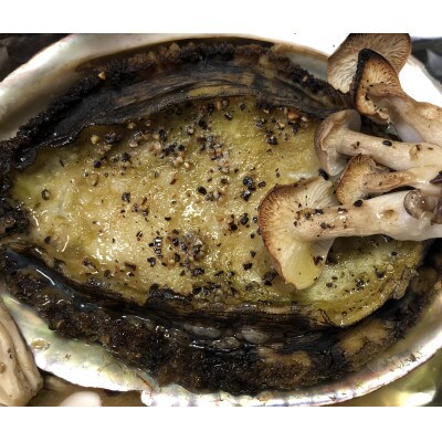 【2ヵ月毎定期便】隔月で八幡浜発、竹中水産の大アワビ600g前後(2〜3個)【H22-287】全3回【配送不可地域：離島・北海道・沖縄県】【4076448】