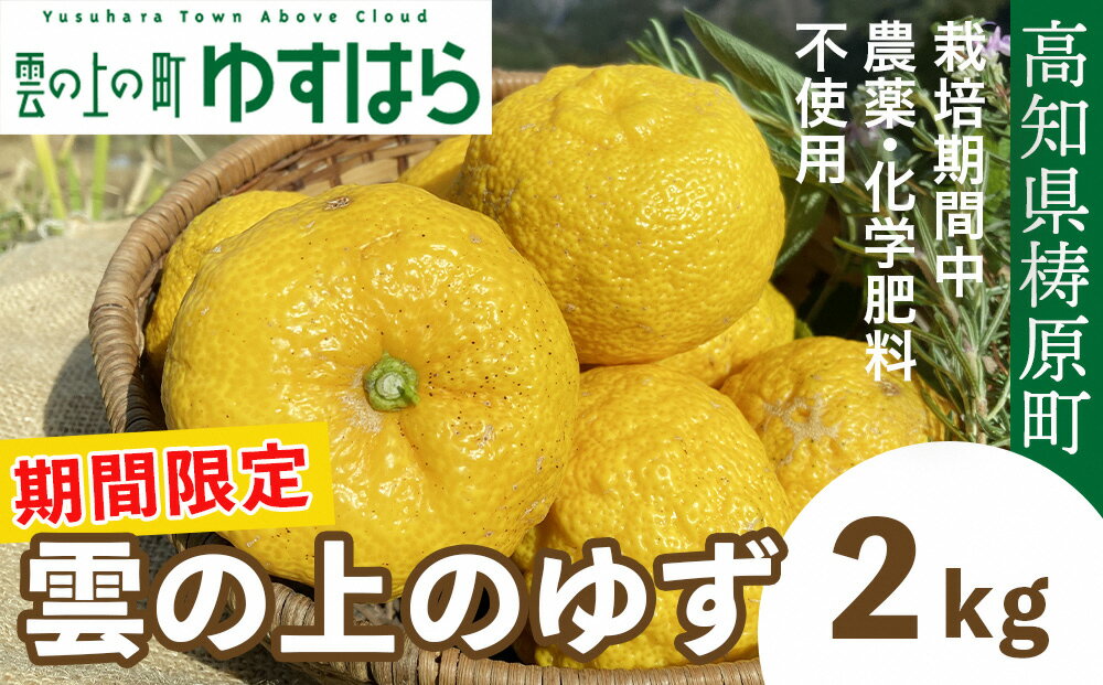 【ふるさと納税】【期間限定】雲の上の黄金ゆず（2kg）ユズ 柚子 農薬化学肥料不使用 果物 柑橘 産地直送 ゆずジャム ゆず茶 高知県産 常温便
