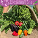 【ふるさと納税】【定期便】合計12回お届け　有機野菜・京野菜の『京都やおよし』の京丹後・亀岡市お野菜＆九条ねぎ＆お米5kg（丹後コシヒカリ特別栽培米）詰め合わせ 野菜 京野菜 九条ねぎ コシヒカリ 特別栽培米 詰め合わせ ふるさと納税 米 野菜 定期便