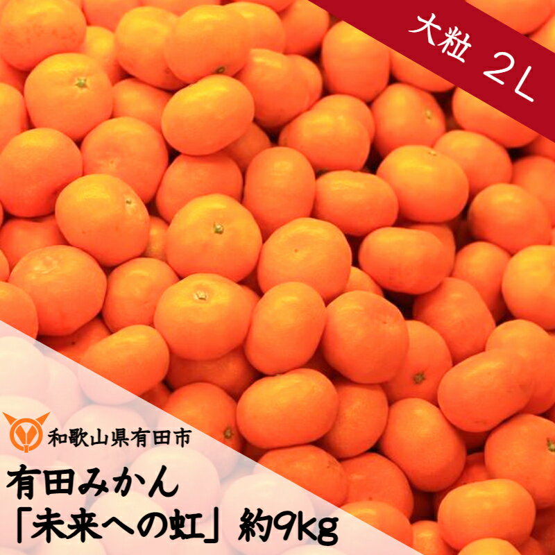 【ふるさと納税】大粒・2L 有田みかん「未来への虹」約9kg（A240-2）送料無料 産地直送 フルーツ 果物 てんこ盛り てんこもり 本場 和歌山 有田 有田市 ありだ みかん 幸せの連鎖 甘い 濃厚 凝縮 コク ジューシー 2L ふるさと 応援 寄附 先行予約