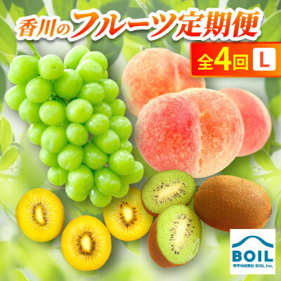 【ふるさと納税】【発送月固定定期便】香川のフルーツ(4L)全4回【配送不可地域：離島・北海道・沖縄県】【4083551】