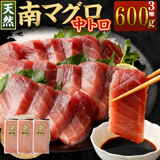 【中トロ】天然南マグロ　中トロ３柵【解凍書付】
