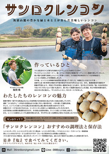 レンコン 新鮮な朝採れレンコン 4kg 蓮根